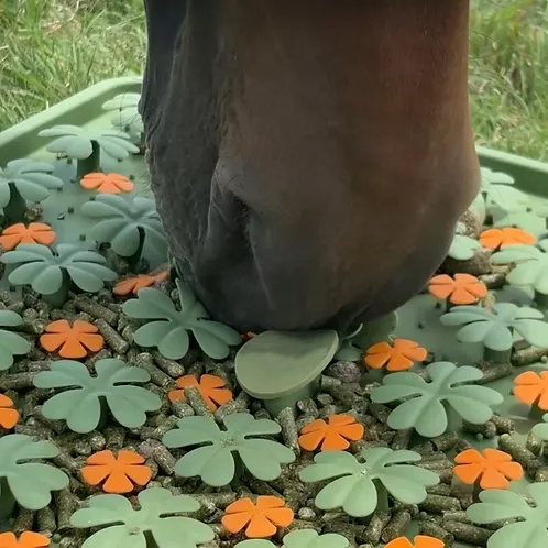 Feeding Activity Mat for Horses, Food-Grade Silicone, Stimulates Mental Development