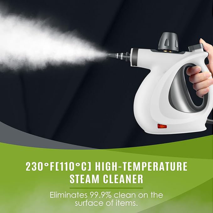 Pressurized handheld multi-functional natural steam cleaner