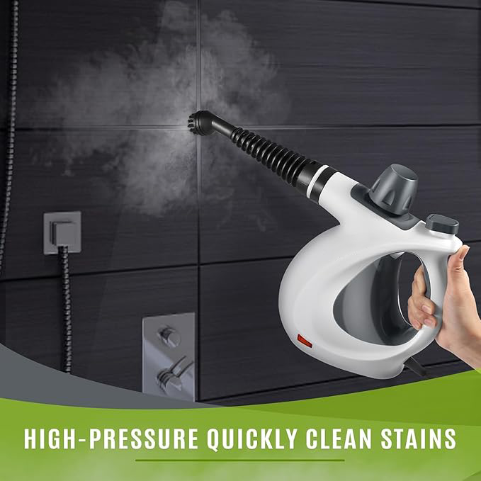 Pressurized handheld multi-functional natural steam cleaner