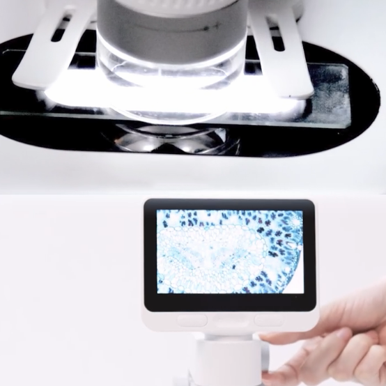 4-Inch IPS Handheld Pocket Digital Microscope – 100-1600x Magnification