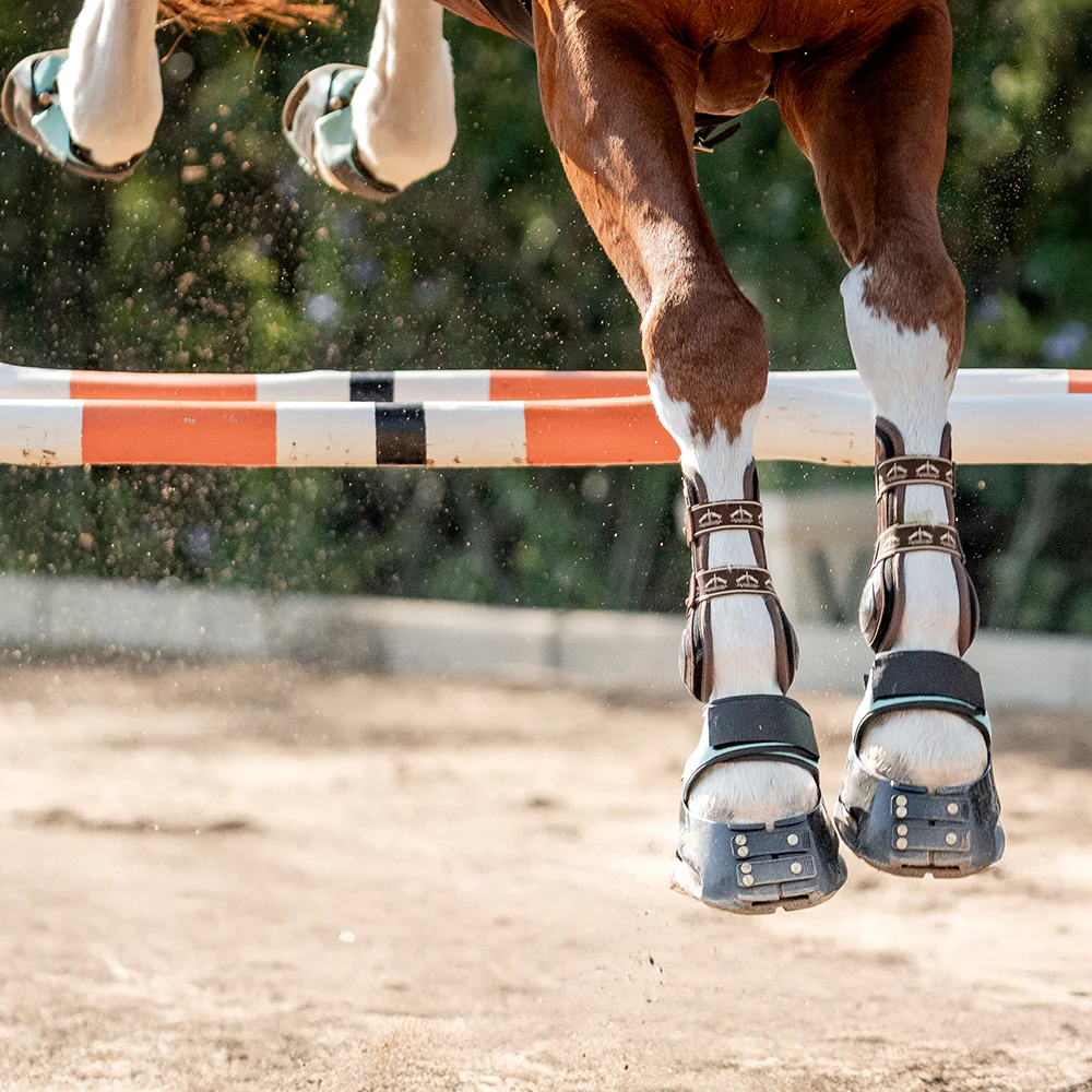 Horseshoe Multifunctional Leg Warts