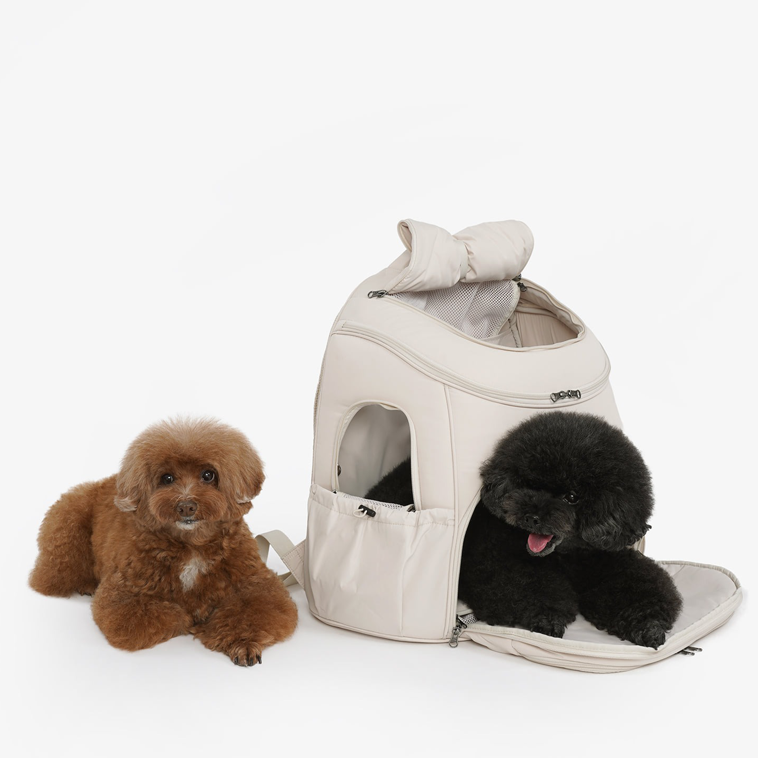 2-in-1 Pet Roof Front Pack