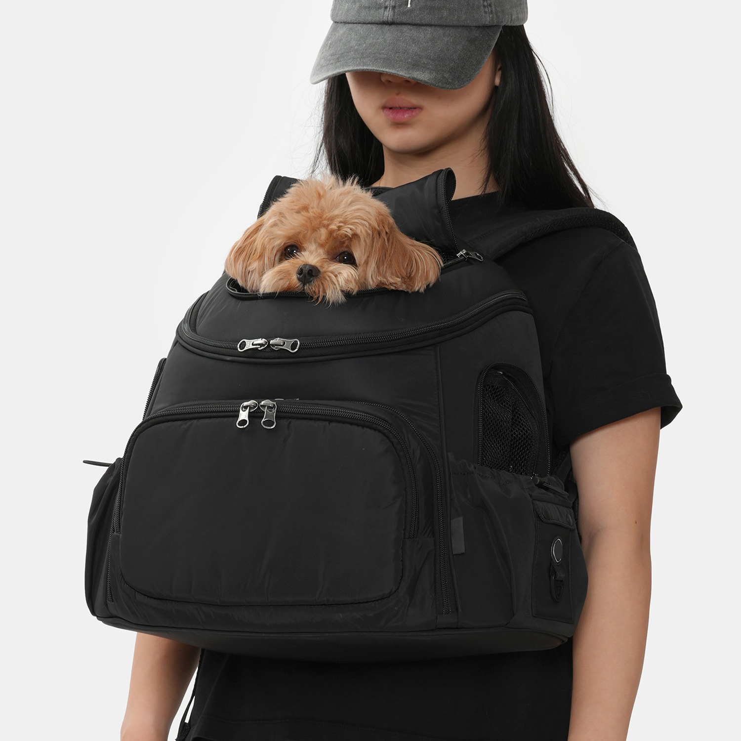 2-in-1 Pet Roof Front Pack