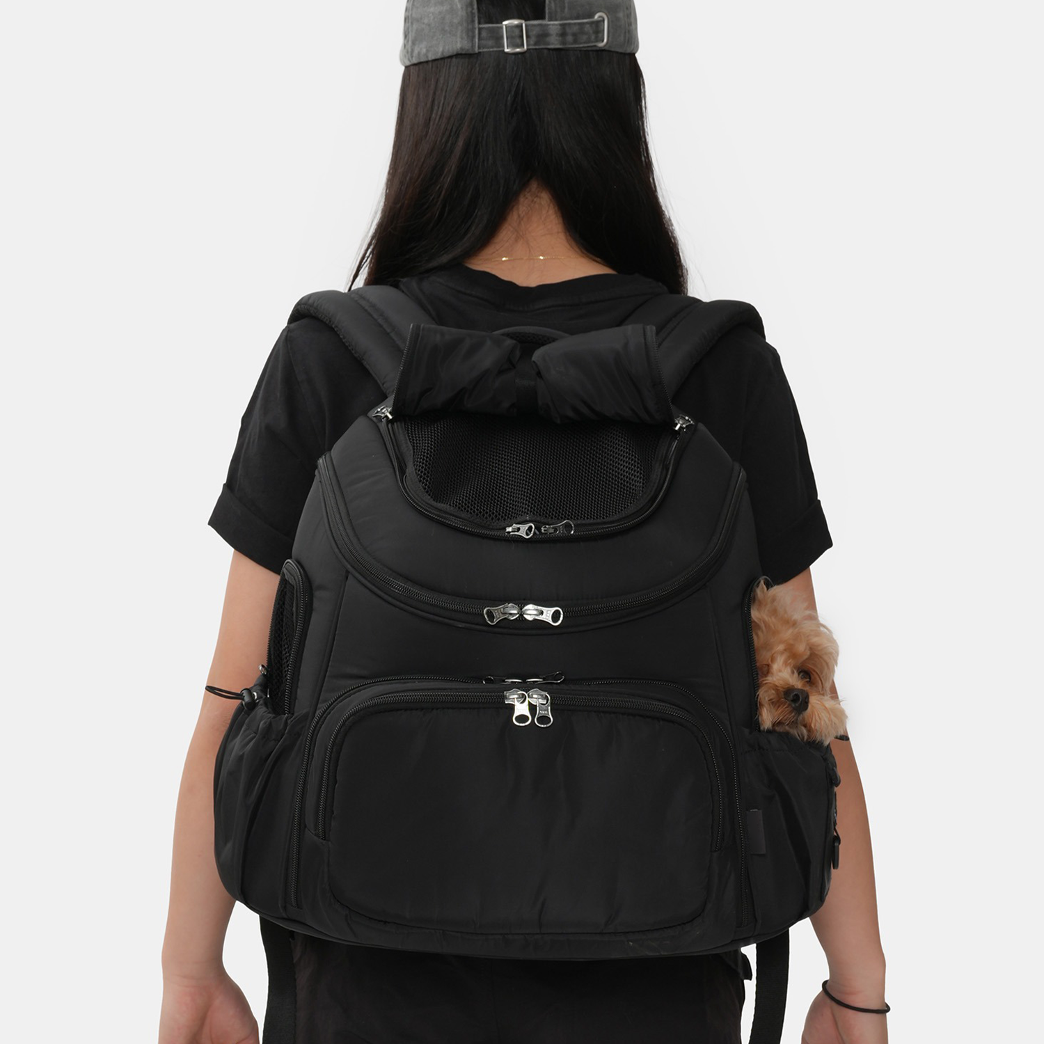 2-in-1 Pet Roof Front Pack