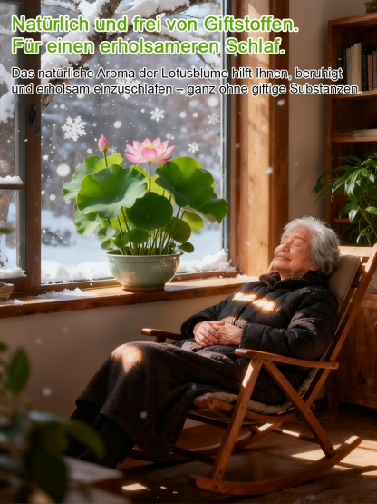  [Magischer Glücks-Lotus] Premium Hydrokultur Samen Set | Blüht in 15 Tagen ohne Erde | Winterhart bis -20°C | Natürlicher Raumduft | Luftreiniger fürs Haus 🌸✨