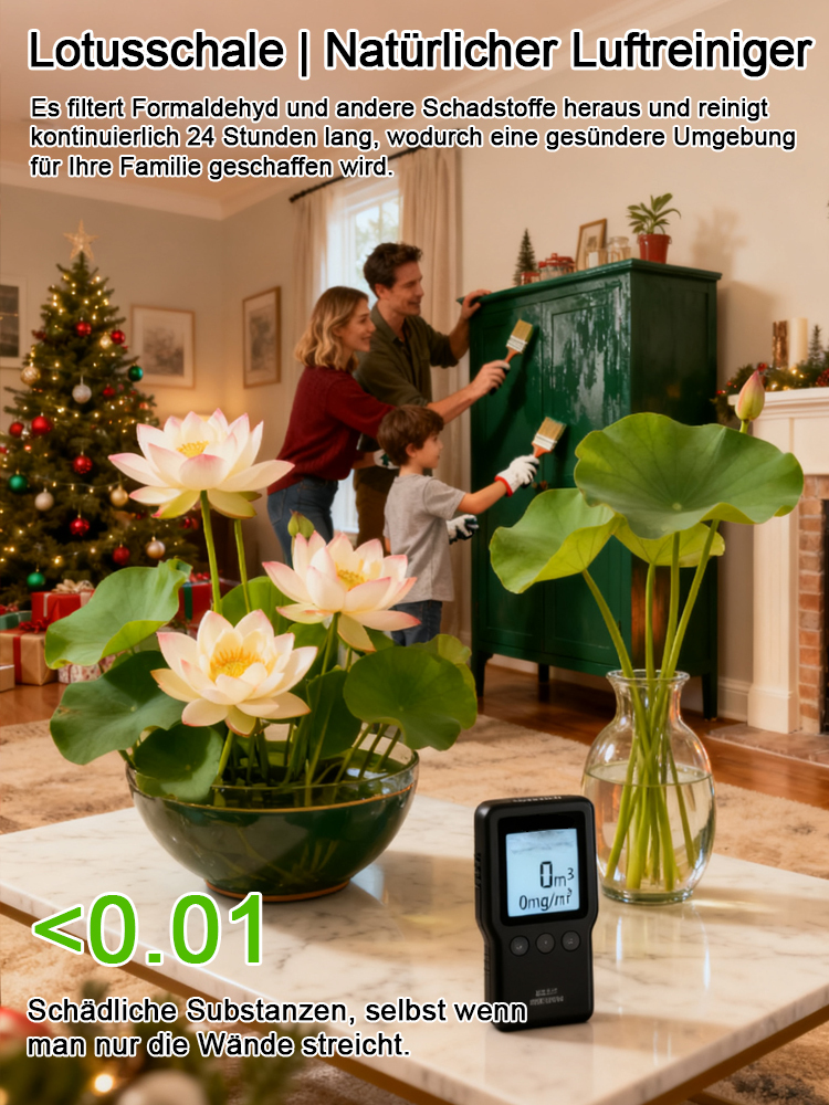  [Magischer Glücks-Lotus] Premium Hydrokultur Samen Set | Blüht in 15 Tagen ohne Erde | Winterhart bis -20°C | Natürlicher Raumduft | Luftreiniger fürs Haus 🌸✨