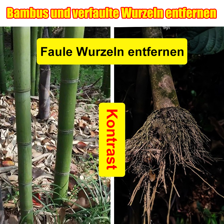 [Geld-zurück-Garantie] Profi-Wurzelvernichter Extra Stark 🌳 | Entfernt Bäume, Bambus und Unkraut | Bodenfreundlich | 24h Hocheffektiv | 1 Jahr Langzeitschutz