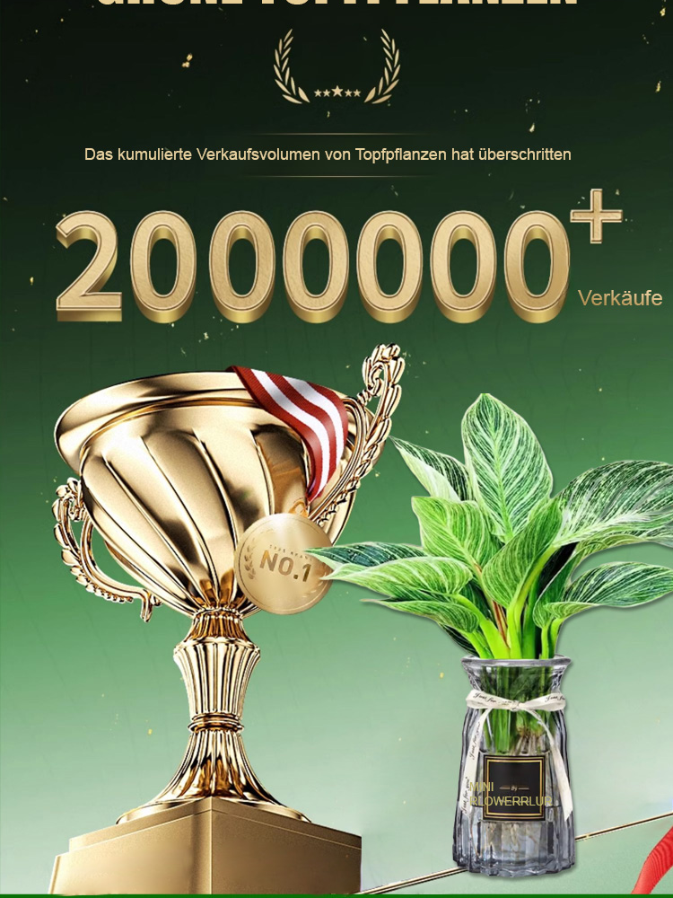 [IPM Gold-Gewinner] Philodendron Birkin 'Platinum' | Entfernt Formaldehyd | FürHydrokultur | Extrem pflegeleicht | Mit Anwachsgarantie 🌿💎