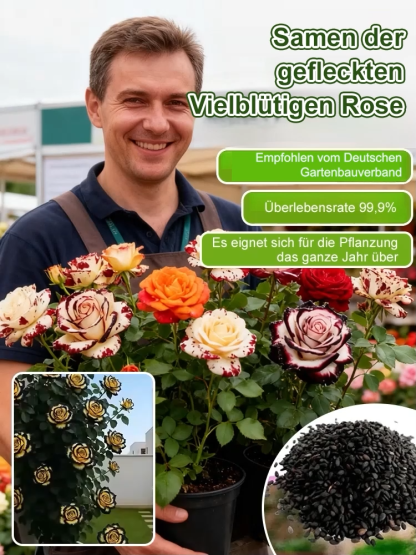 【100% Keimgarantie】Seltene Gefleckte Rosen Samen 🌹 | Winterhart bis -20°C | 300 Tage Dauerblüte | Herrlicher Rosenduft