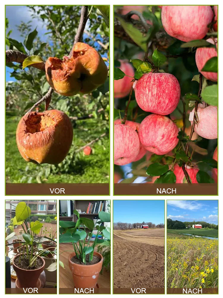 【1+1 GRATIS】Premium Garten Bodenaktivator | Löst Bodenverdichtung | 7 Tage Pflanzen-Rettung | 100% Bio und Haustierfreundlich 🌱💧