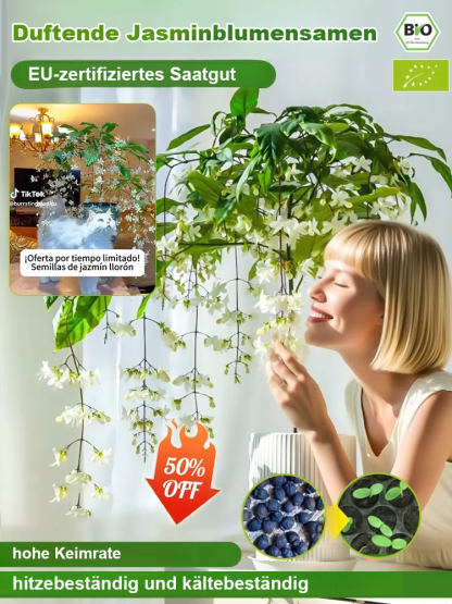 [Keimgarantie] Hängender Bio-Duft-Jasmin | Natürlicher Raumduft |Filtert Formaldehyd | Blüht in 30 Tagen | 8 Monate Blütezeit | Extrem pflegeleicht 🌸🍃