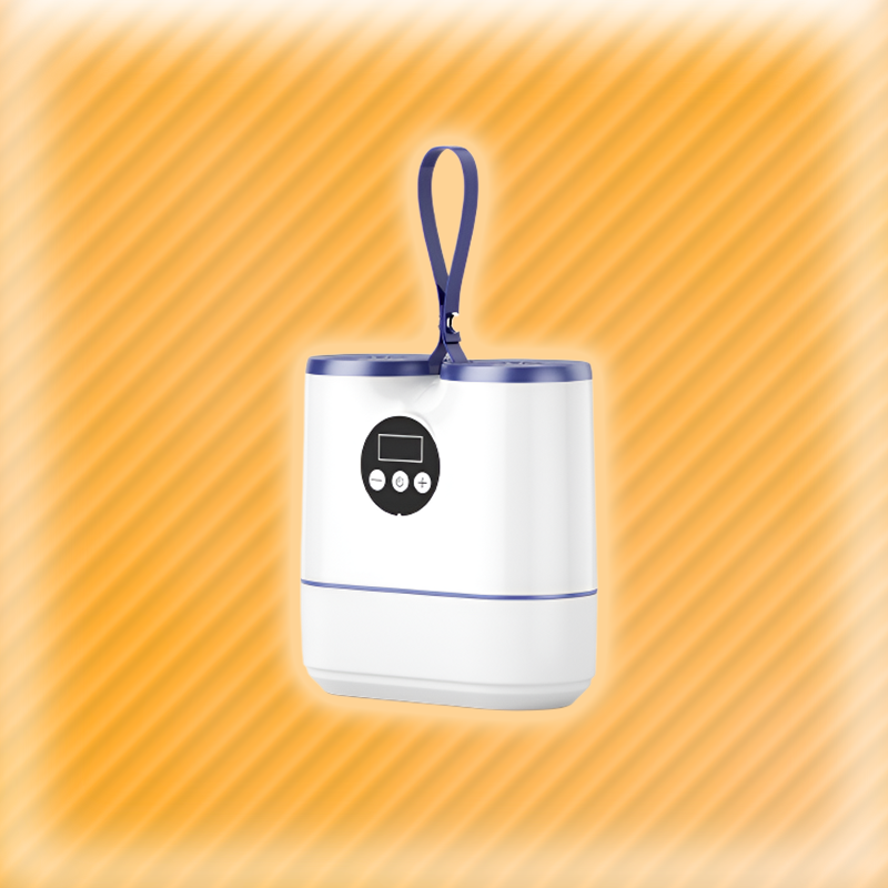 Shoe Deodorizer and Sterilizer Dryer