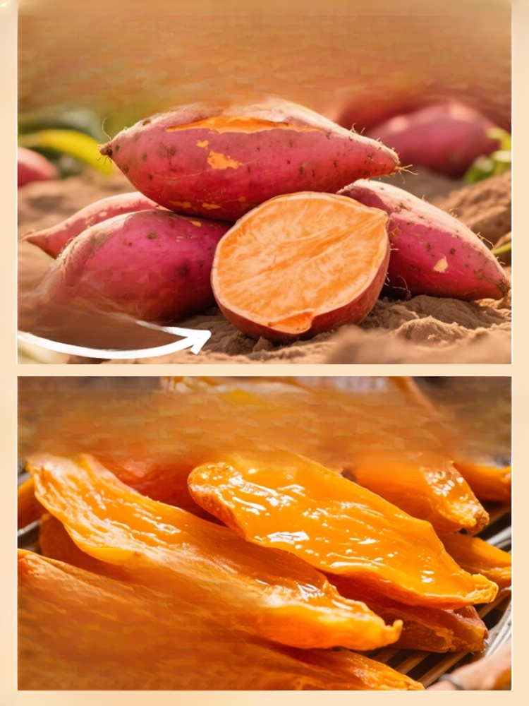 ✨<Available Only 20 Days/Year]> Premium North Carolina sweet potatoes, freshly harvested with incredibly rich and plump flesh! ✨