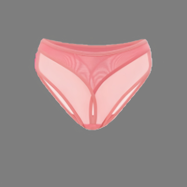 Bestselling sheer low-rise panties