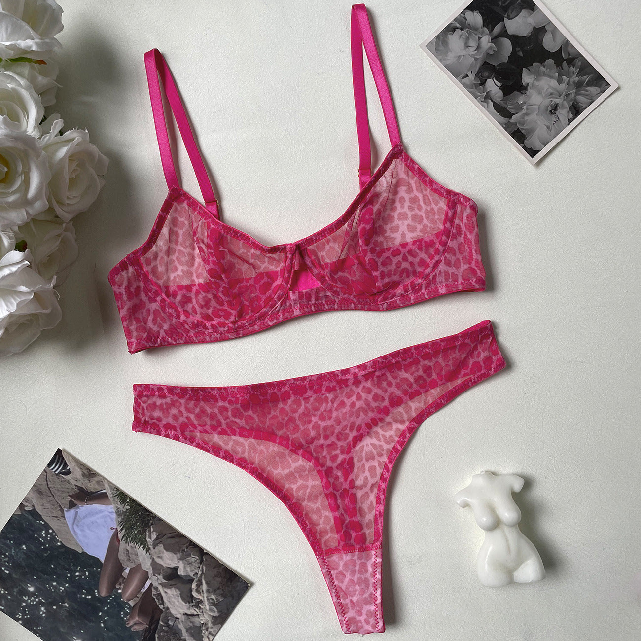 Sexy leopard print bra ultra-thin mesh set