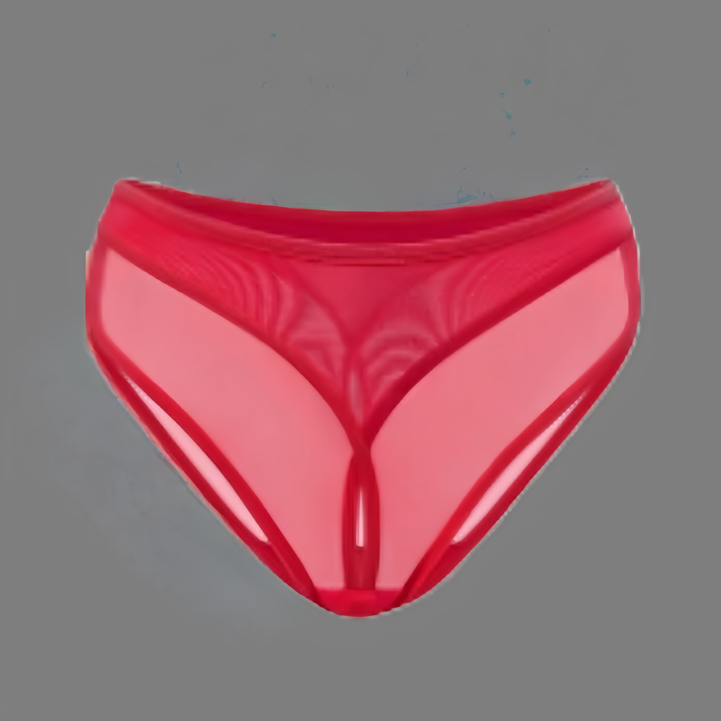 Bestselling sheer low-rise panties