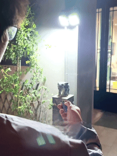  Beweg.-Außenleuchte – automatisch