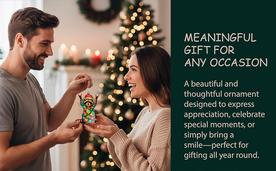 ONM-729-RST-Racconchristmas