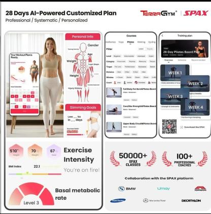 TerraGym Pilates Board,Multi-functional Ab Exercise Board,FoldableHome Pilates Reformer with Knee Mat ,Timer andResistance Bands,Abs Workout Equipment forAbdominal & Core Strength Training #TikTokShopBlackFriday  #TikTokShopCyberMonday-zzh