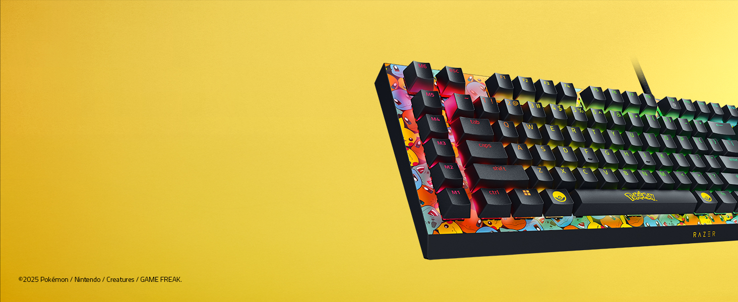 Customization and Control