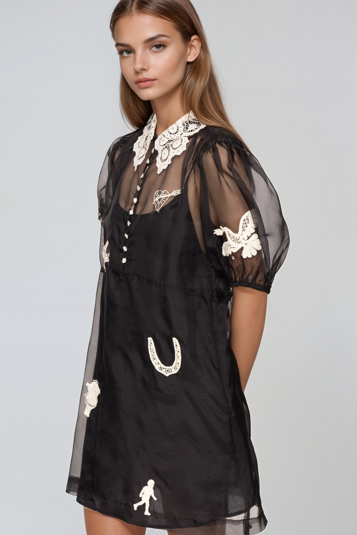 Jaakko Puff Sleeve Mesh Lace Mini Dress