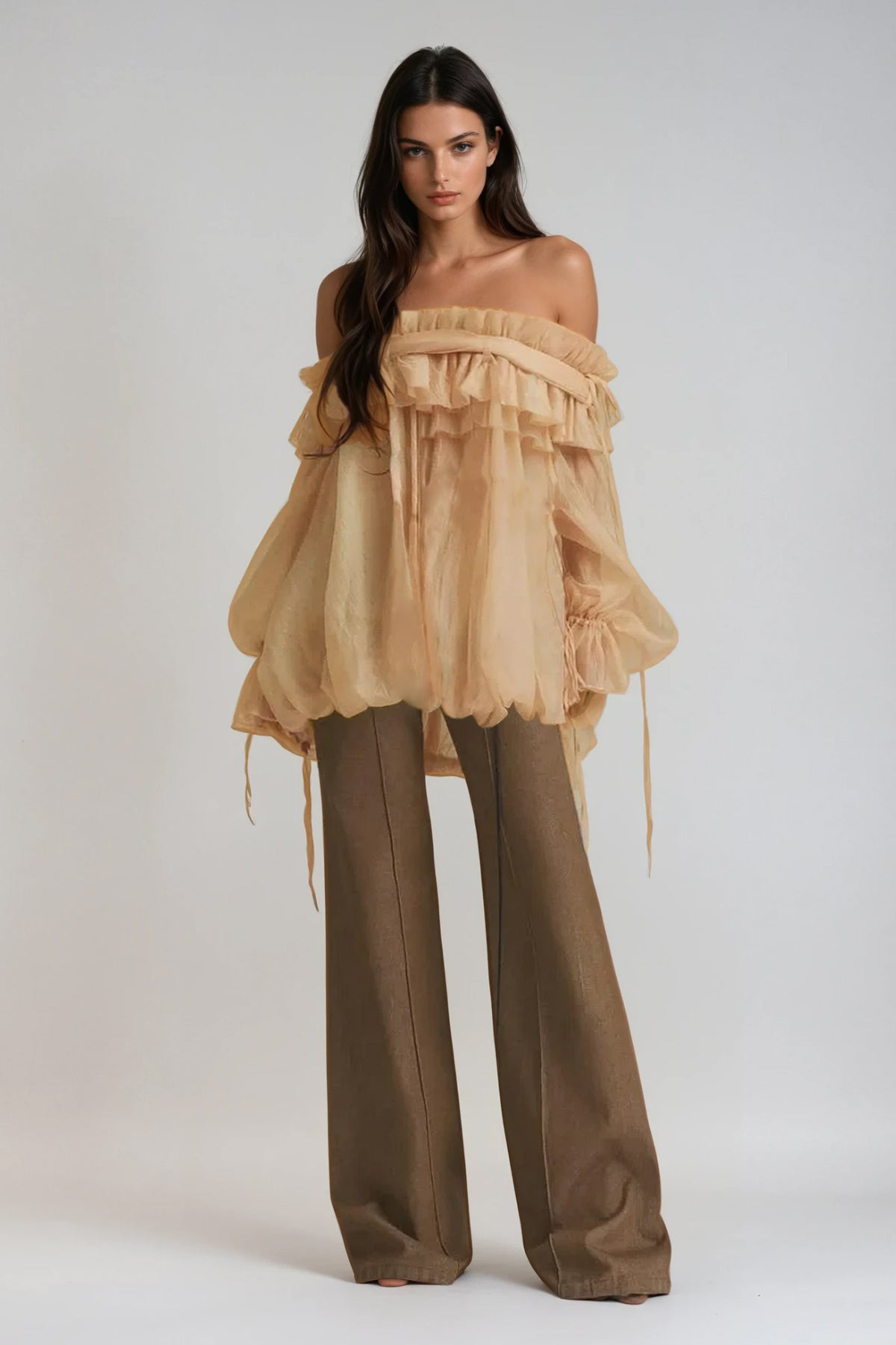 Aneirin Off Shoulder Mesh Ruffle Top