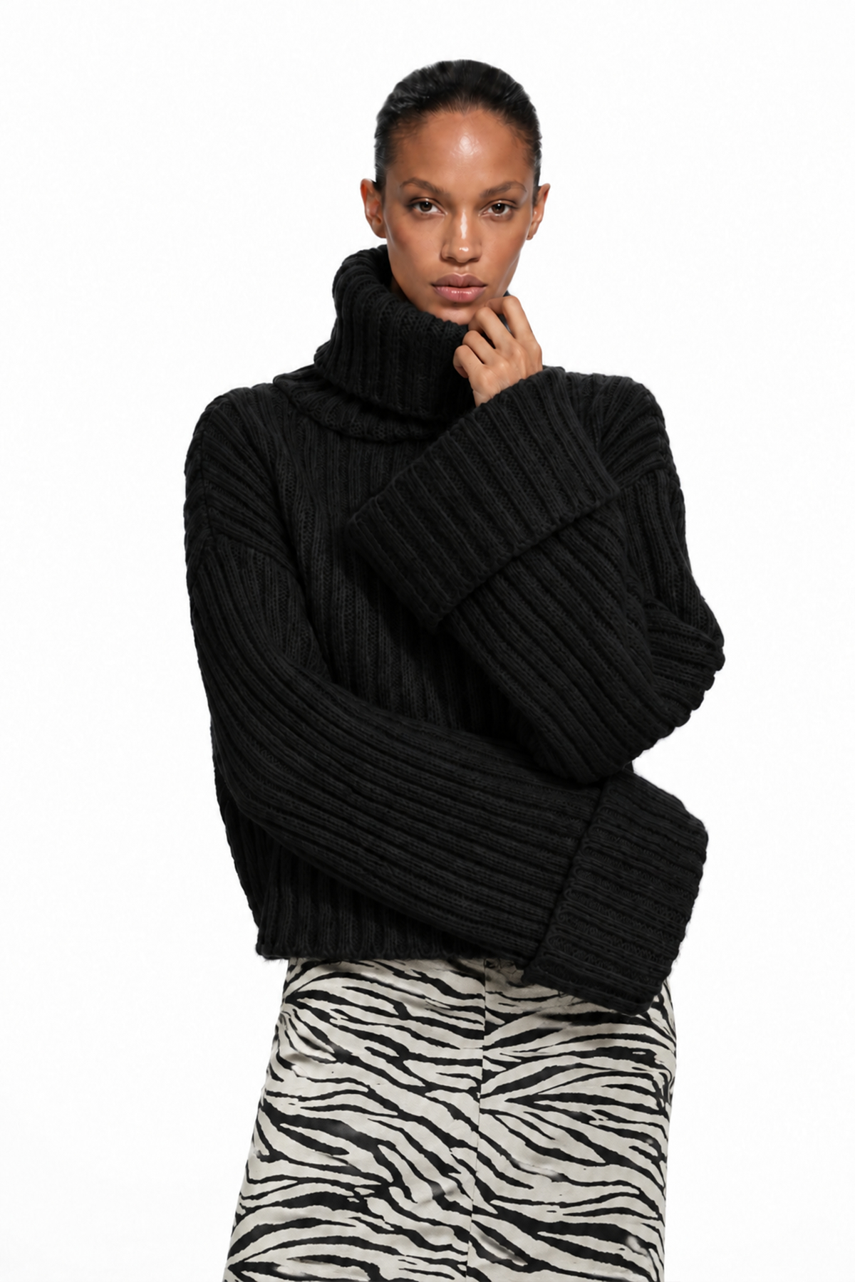 Dileep Turtleneck Knit Top In Black
