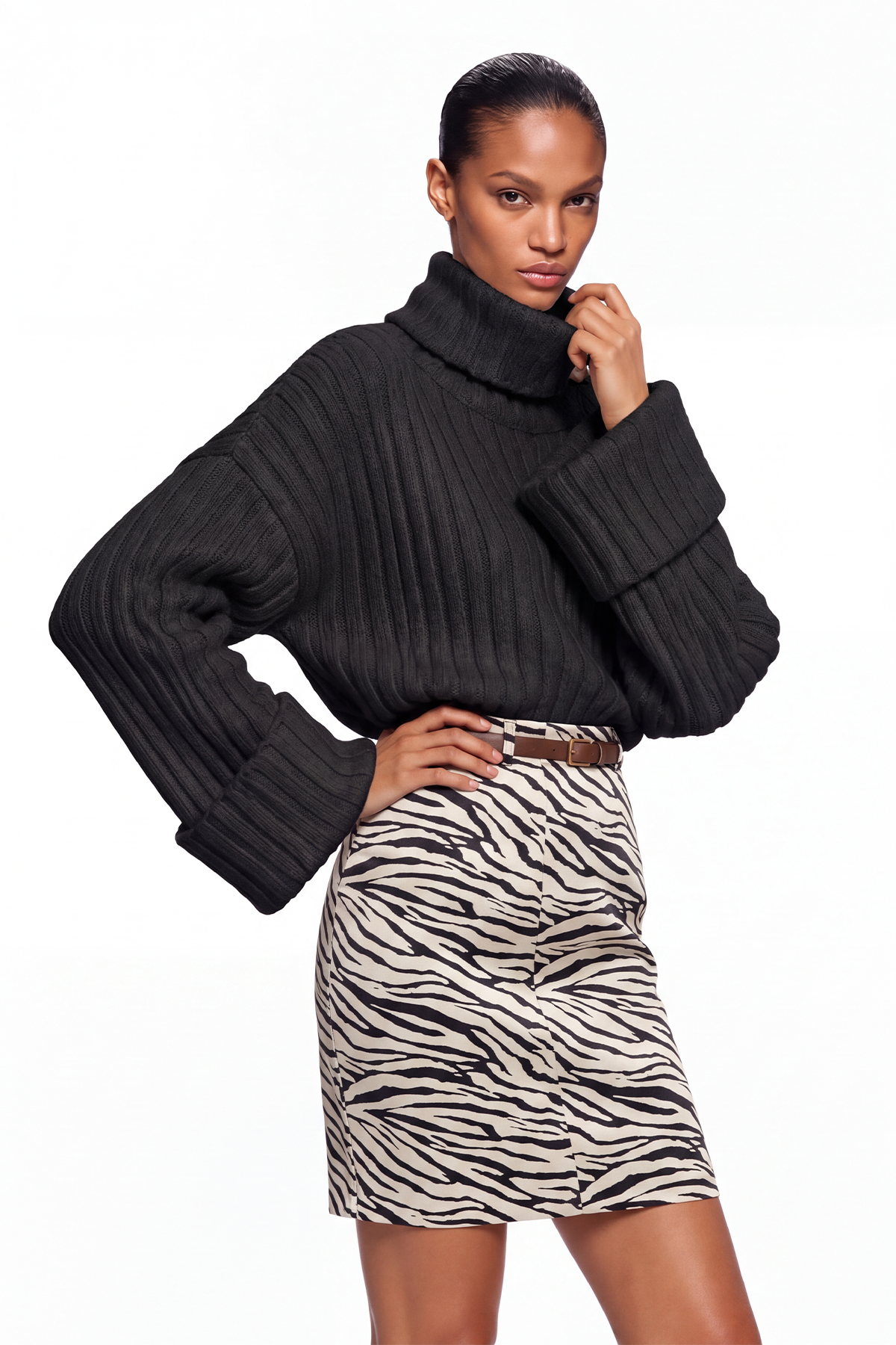 Dileep Turtleneck Knit Top In Black