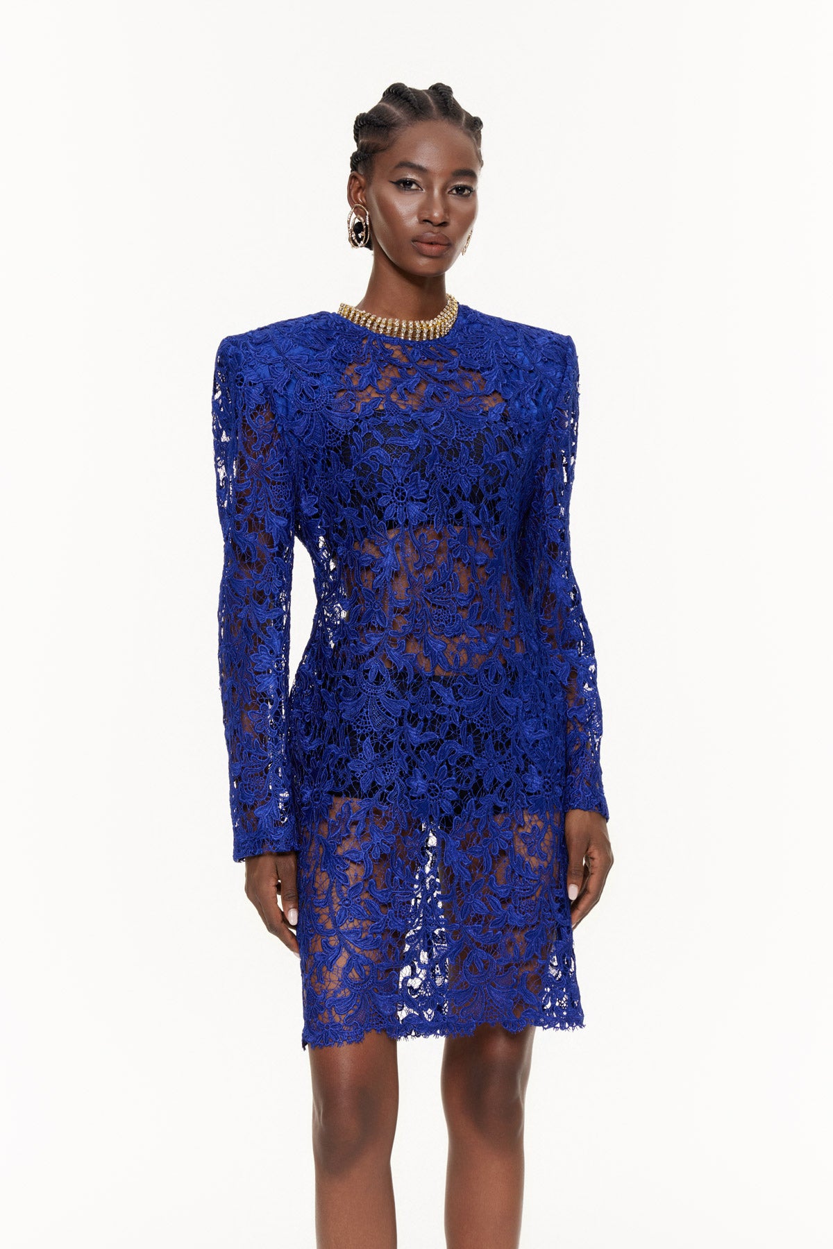 Eider Embroidered Floral Cutout Mini Dress