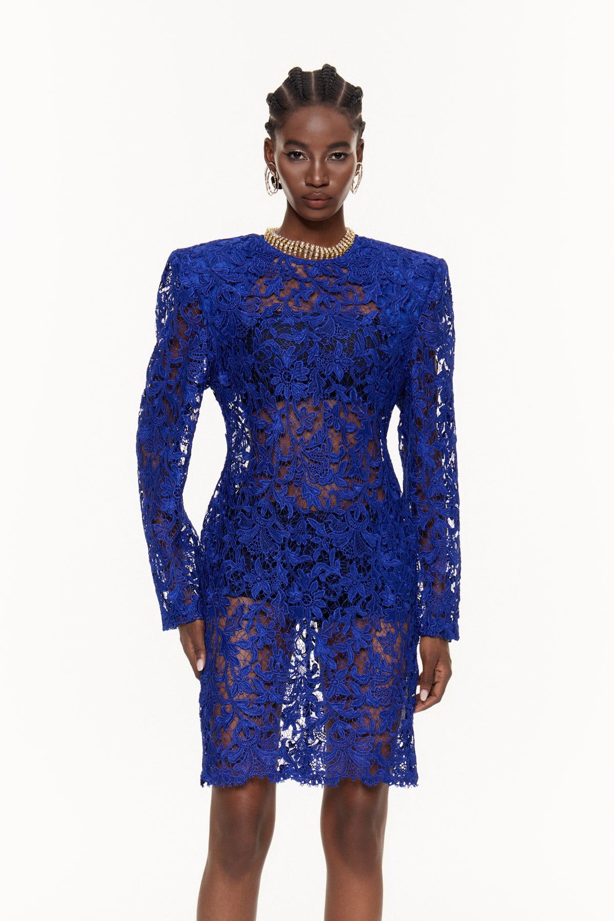 Eider Embroidered Floral Cutout Mini Dress