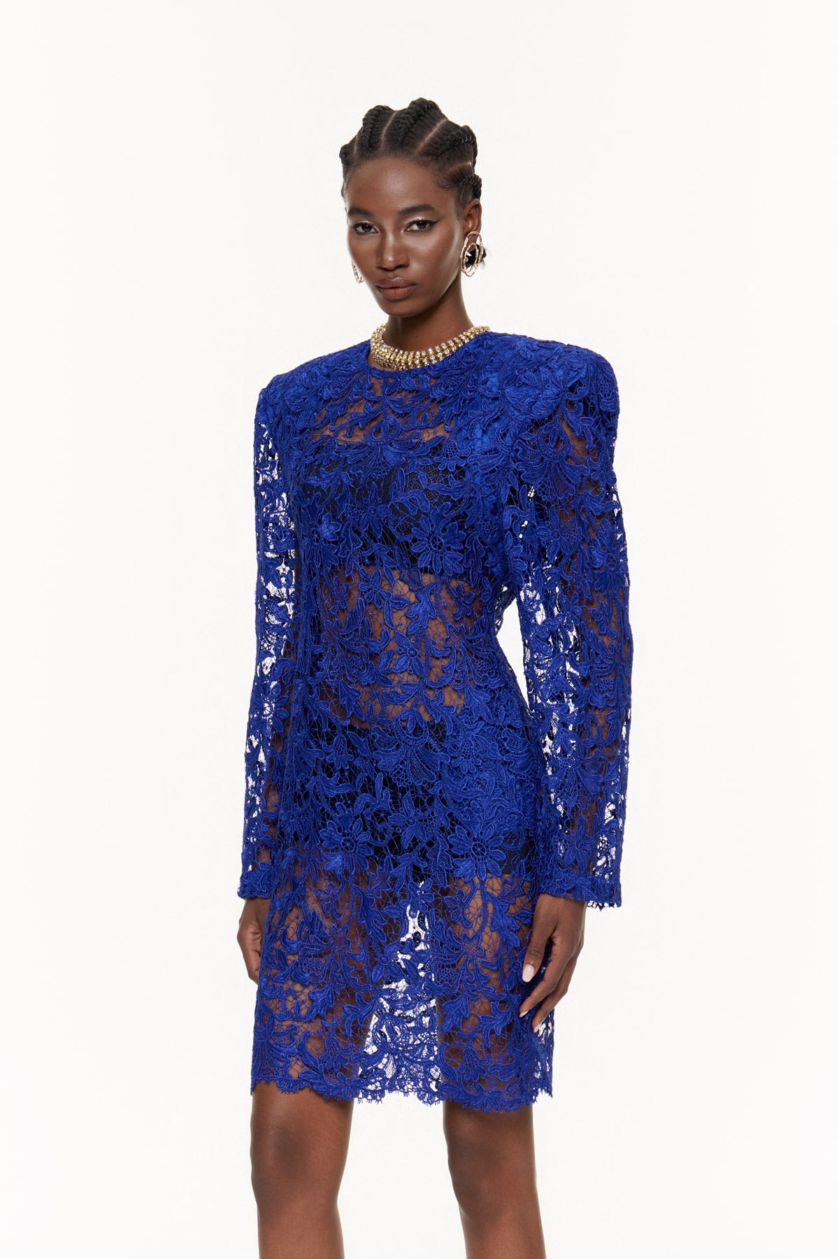 Eider Embroidered Floral Cutout Mini Dress