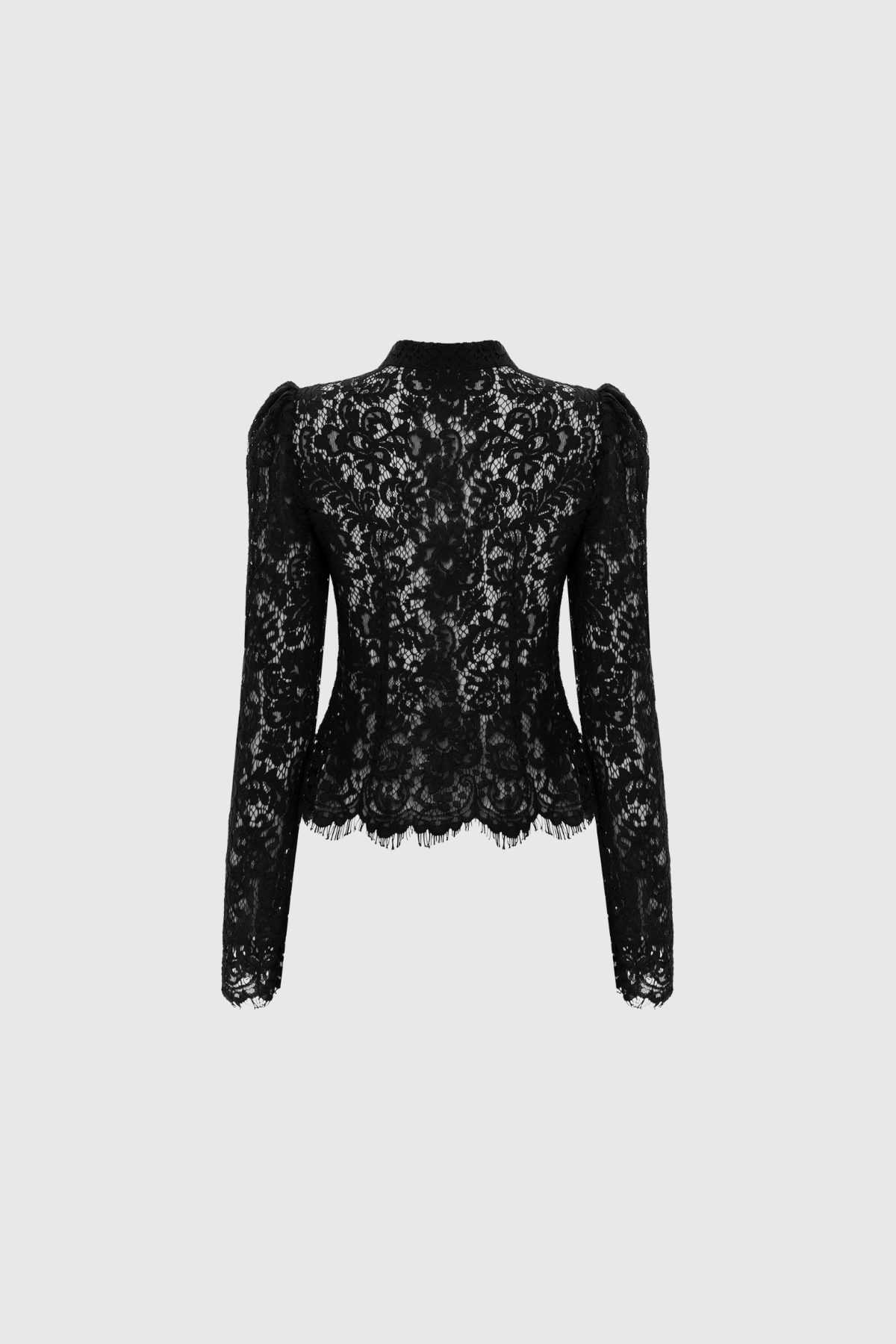 Fidel Long Sleeve Lace Top