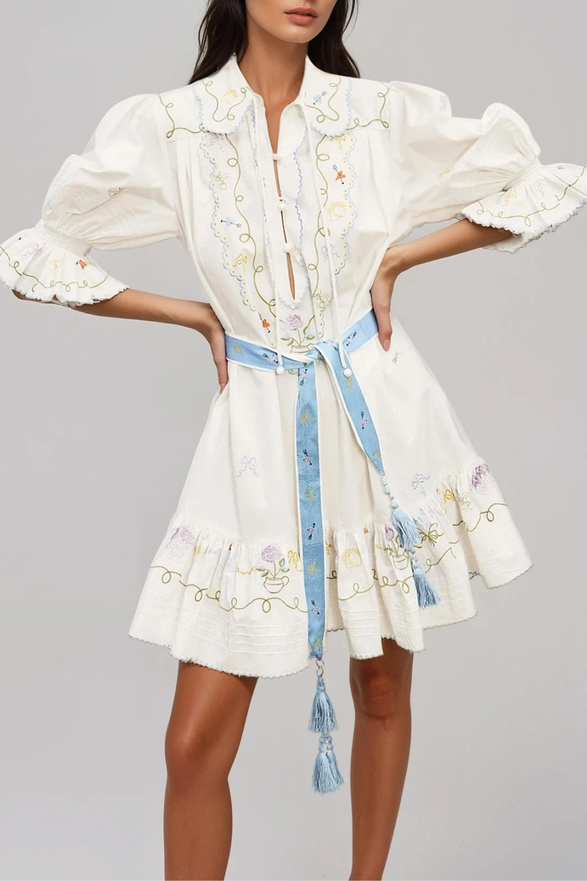 Filemon Puff Sleeve Embroidered Mini Dress