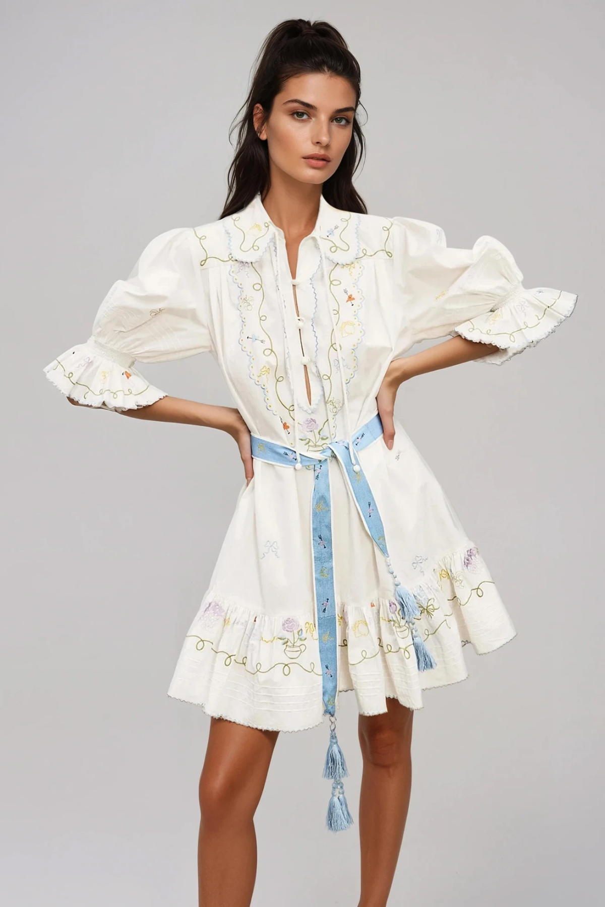 Filemon Puff Sleeve Embroidered Mini Dress