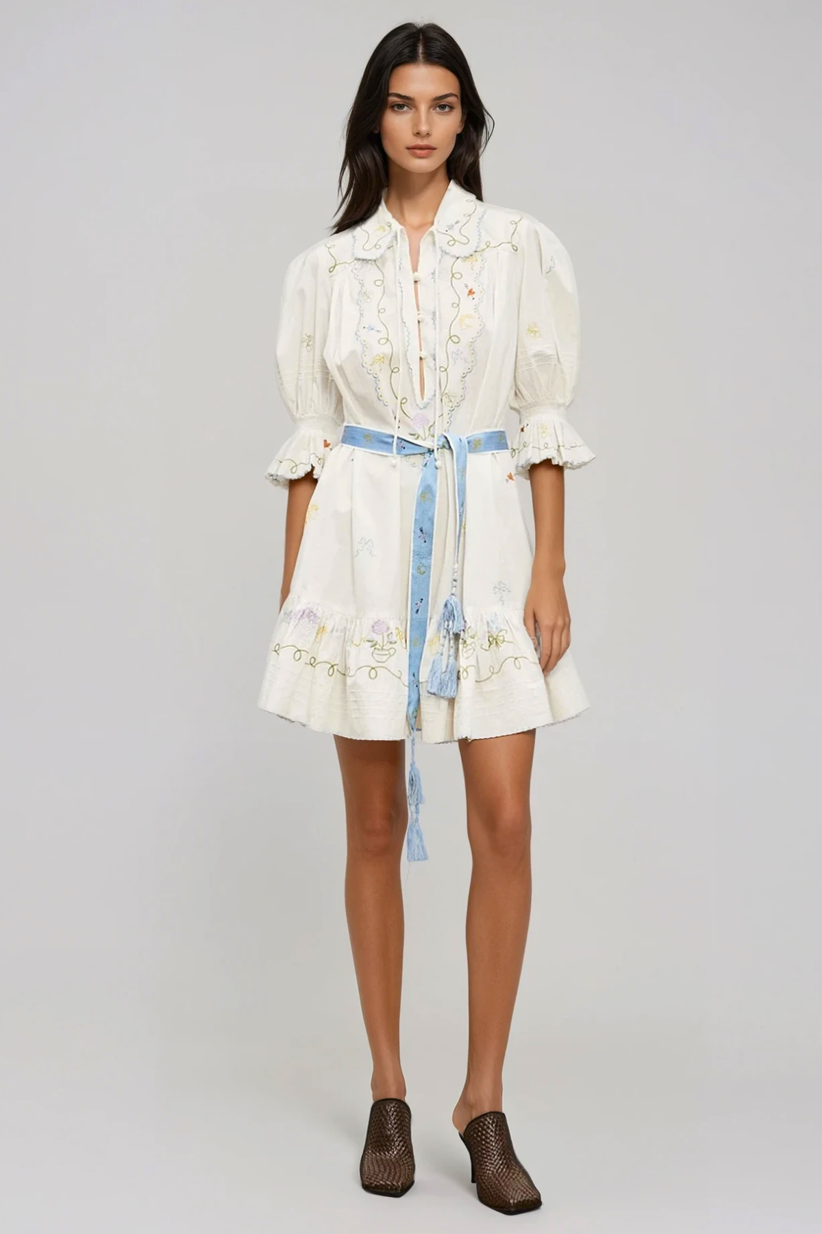 Filemon Puff Sleeve Embroidered Mini Dress