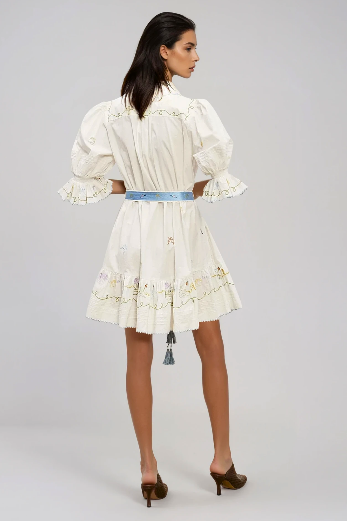 Filemon Puff Sleeve Embroidered Mini Dress