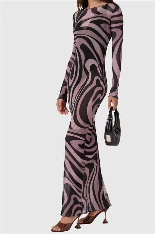 Hardmod Long Sleeve Print Mesh Maxi Dress