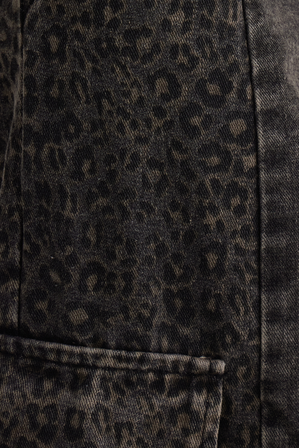 Isaque Leopard Cargo Jeans