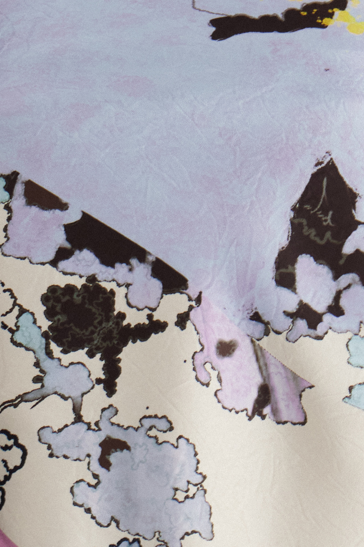 Isaurus Print Top