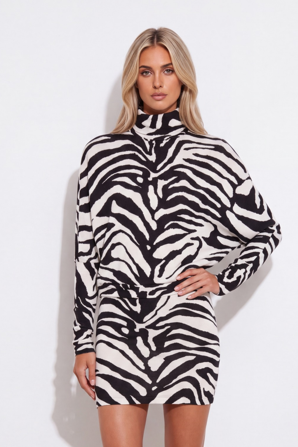 Kavin High Neck Zebra Print Mini Dress
