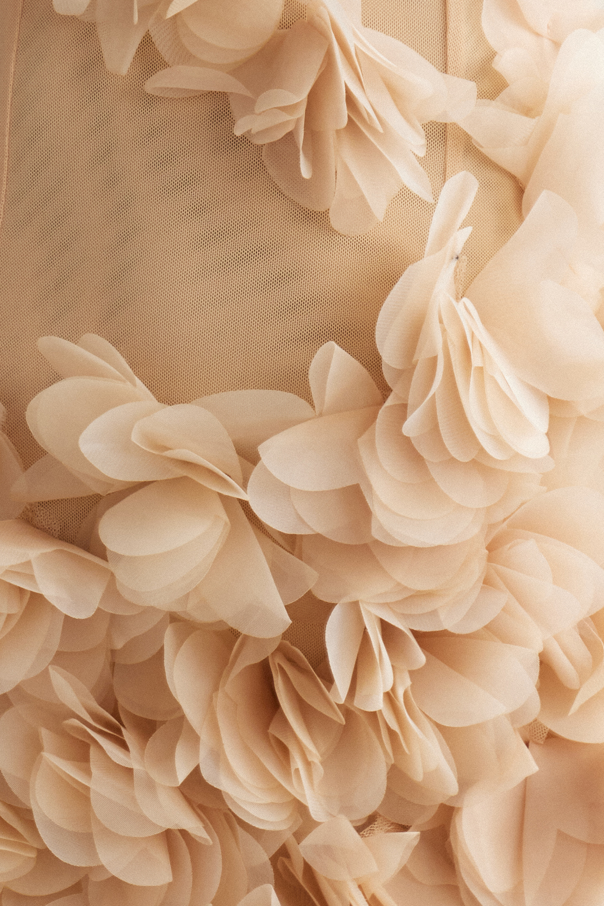 Kira Flower High Split Mesh Maxi Dress In Apricot