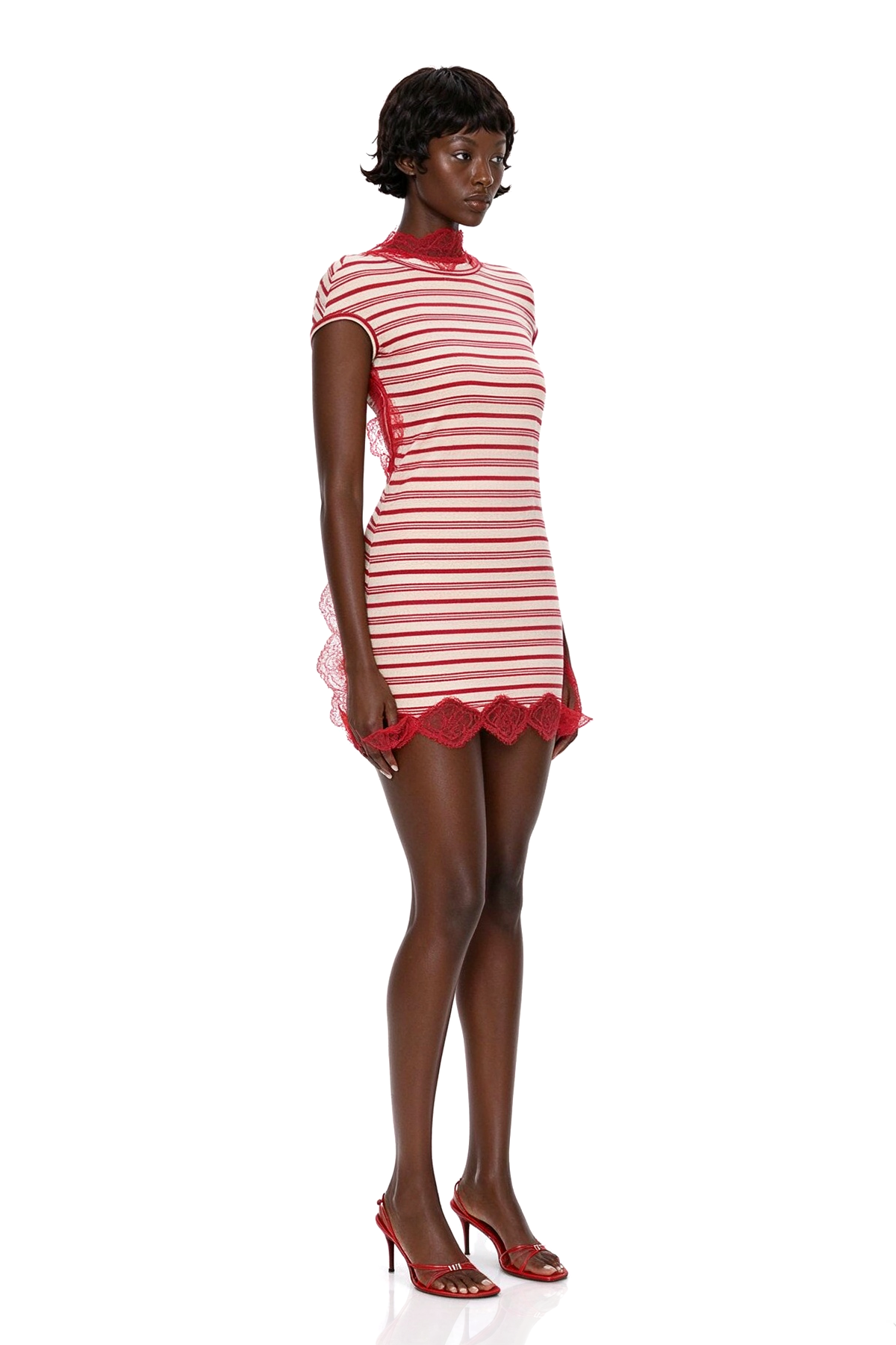 Magnolia Stripe Lace Mini Dress