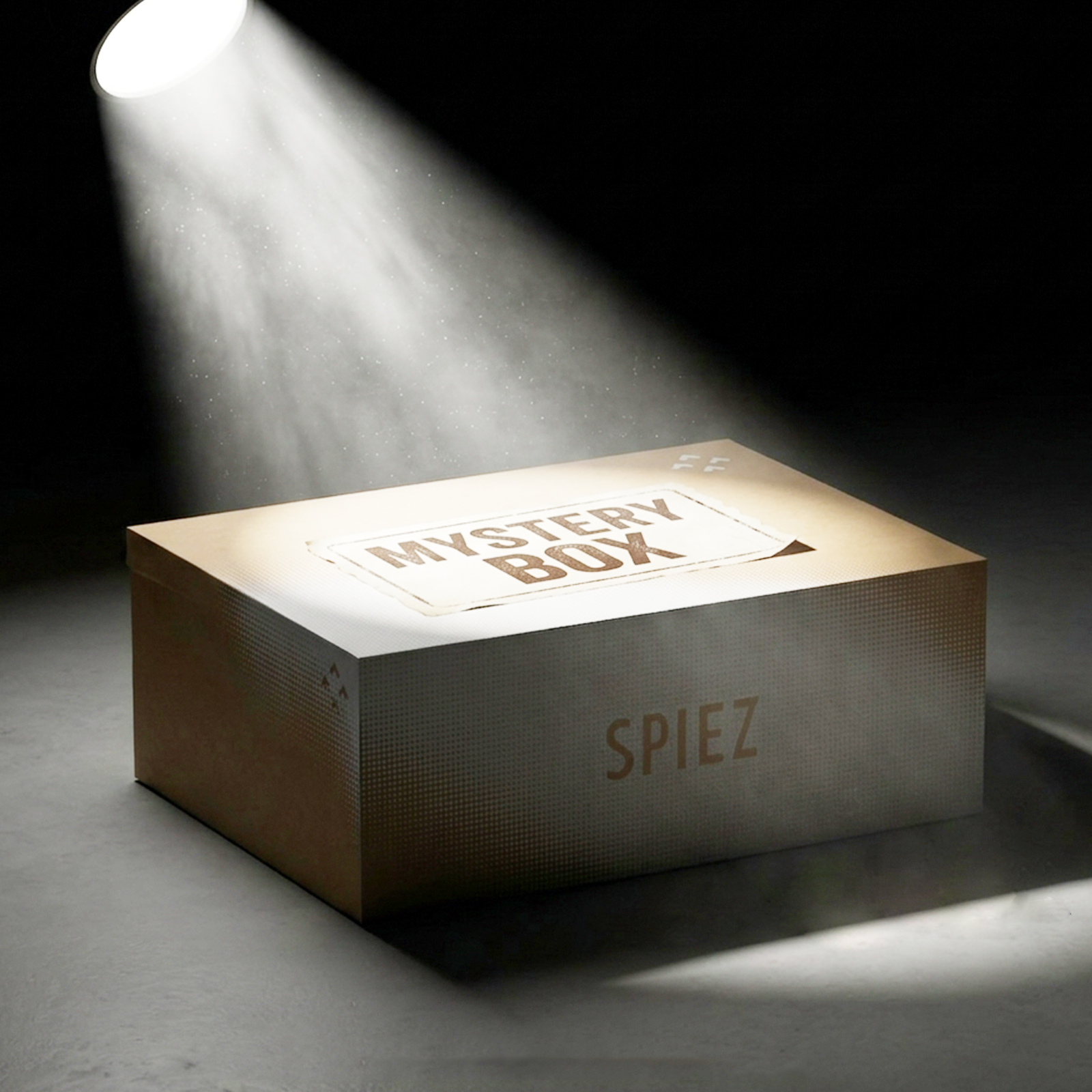 SPIEZ Genuine Shoes Mystery Box | Random Style Fixed Size