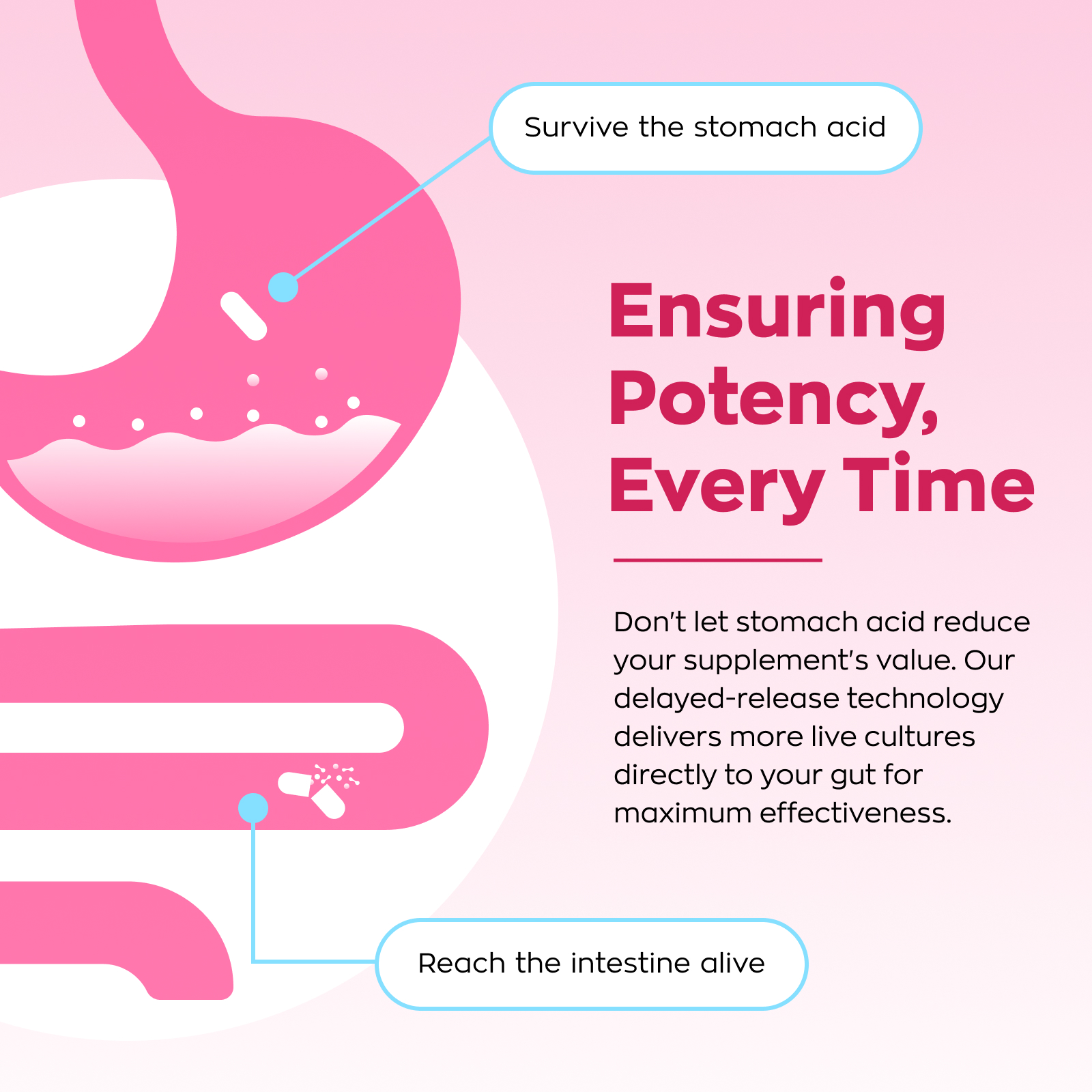 Gynable Vaginal Probiotics for Women,Female Probiotic for pH Balance 30 Count