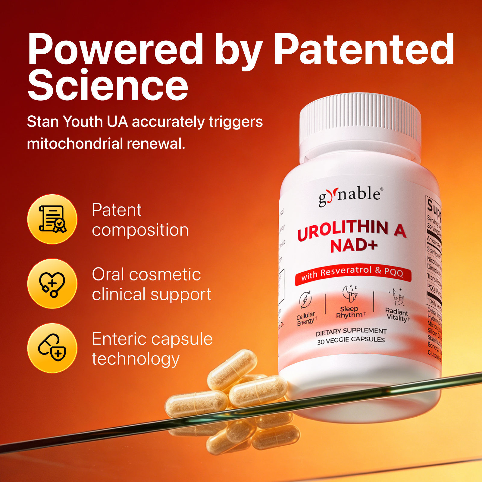 Gynable Urolithin A Complex NAD+,Trans-Resveratrol, PQQ,Urolithin A NAD Supplement 