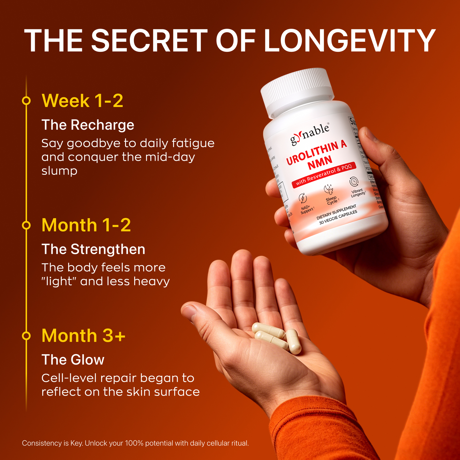 Gynable Urolithin A Complex NMN,Trans-Resveratrol, PQQ,Urolithin A NMN Supplement 