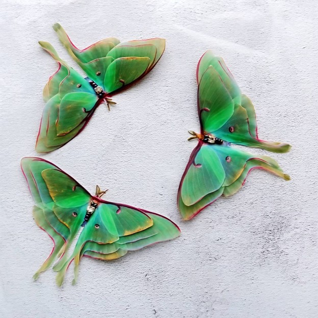 3D Double-Layered Wing Moonlight Goddess Green Hair Clip