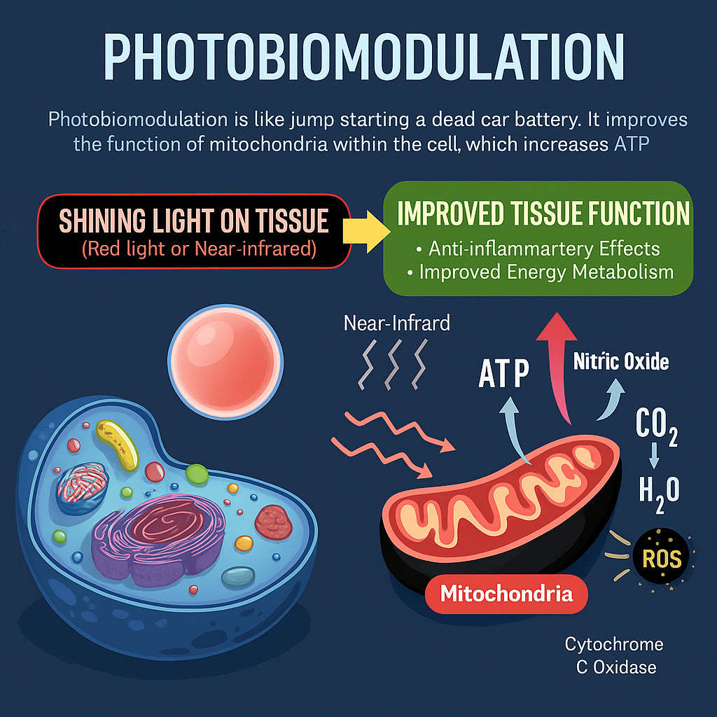Glomask® Advanced LED Facial Mask: Enhance Collagen & Skin Clarity