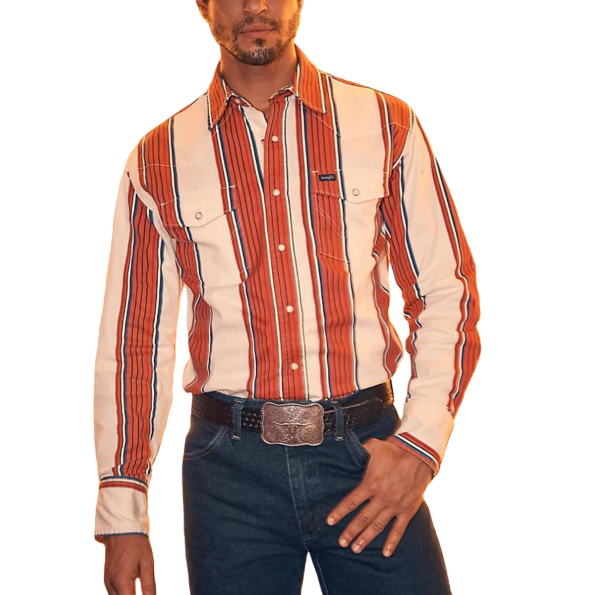 Vintage Western Striped Shirt