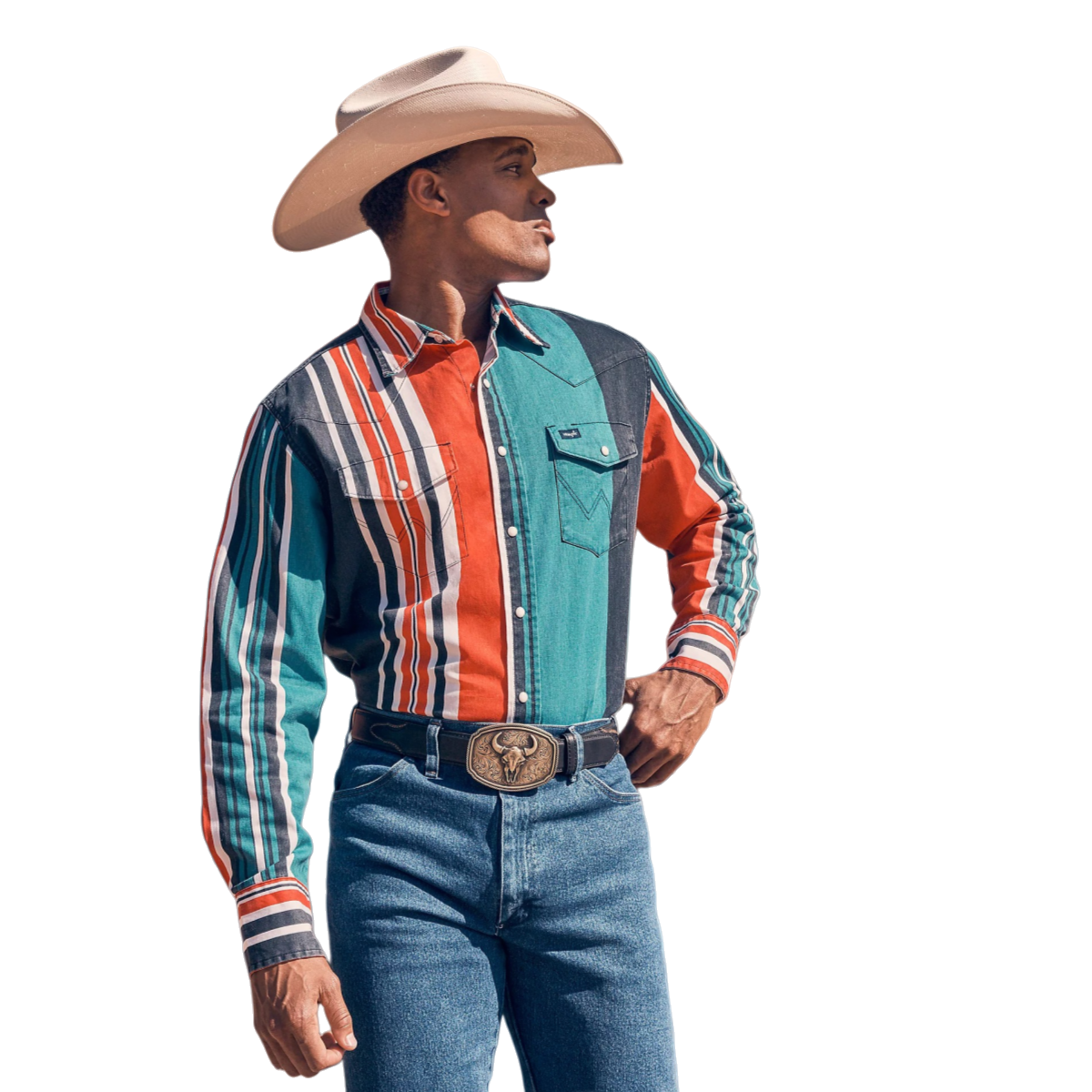 Vintage Western Striped Shirt